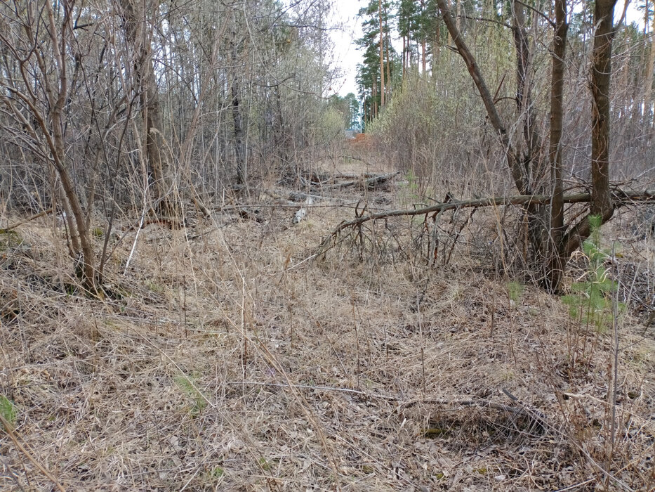 Екатеринбург, ул. Романтиков (Кольцово) - фото земельного участка (6)