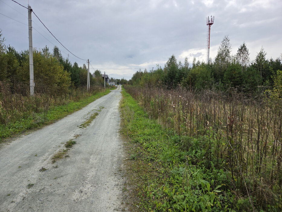 г. Березовский, снт Европа-2 (городской округ Березовский) - фото сада (3)