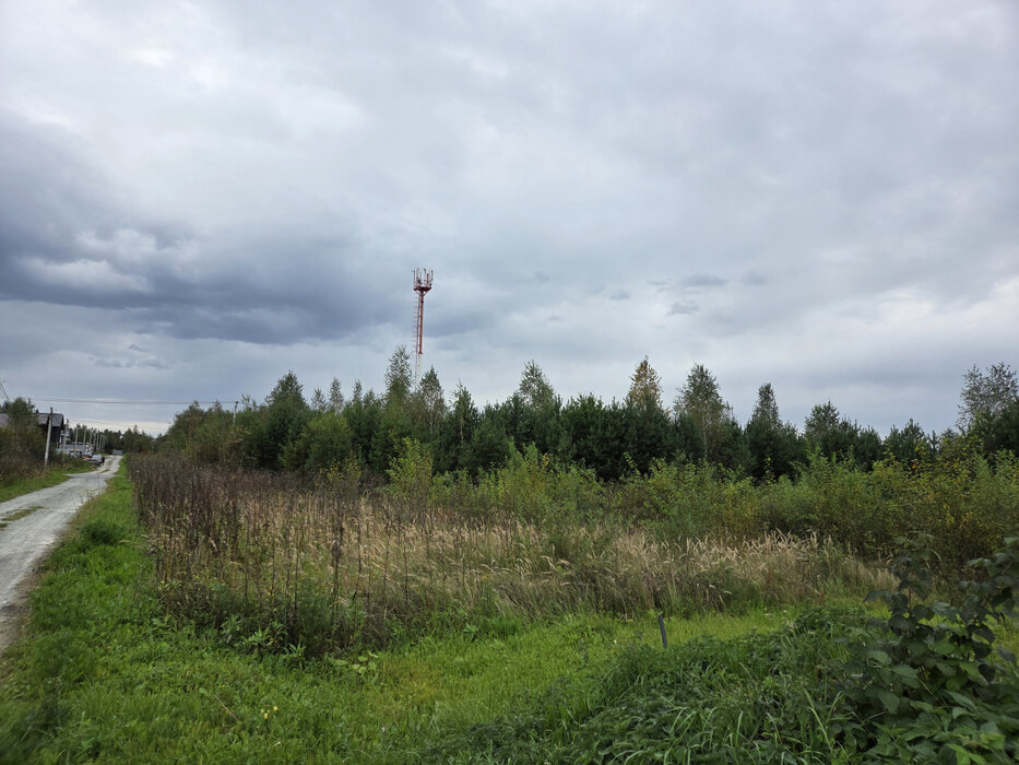г. Березовский, снт Европа-2 (городской округ Березовский) - фото сада (4)
