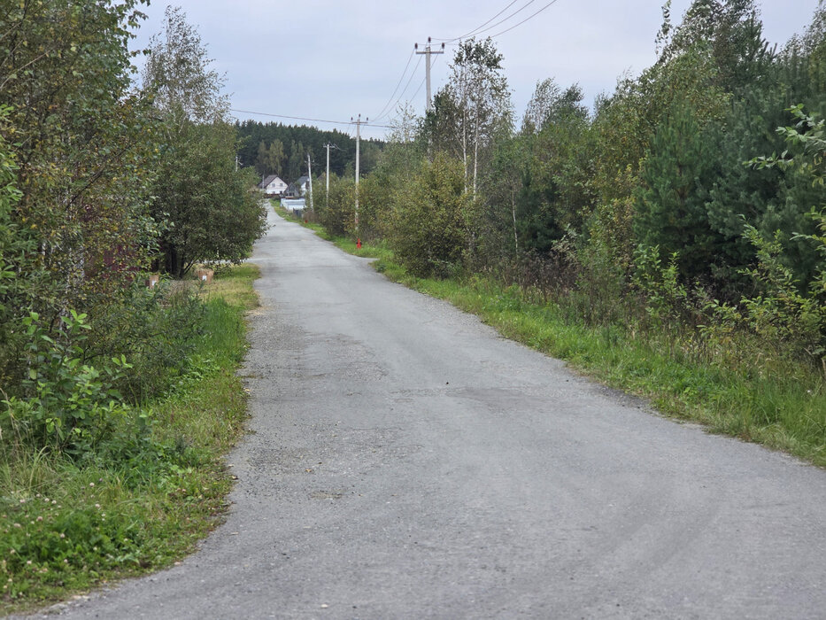 г. Березовский, снт Европа-2 (городской округ Березовский) - фото сада (6)