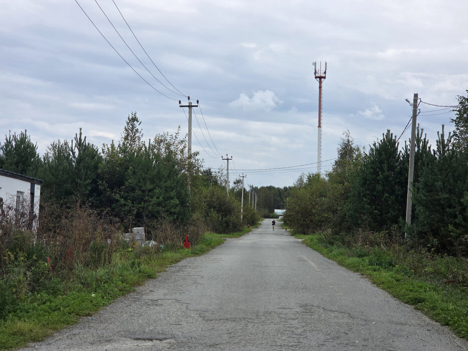 г. Березовский, снт Европа-2 (городской округ Березовский) - фото сада (8)