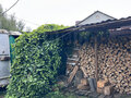 Продажа садового участка: Екатеринбург, к/с Парфюмер, ул. уч.91 (Медный) - Фото 10