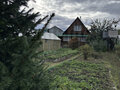 Продажа садового участка: Екатеринбург, к/с Парфюмер, ул. уч.91 (Медный) - Фото 4
