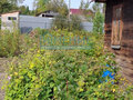 Продажа дачи: п. Гусевка, д. 14 (городской округ Ревда) - Фото 5