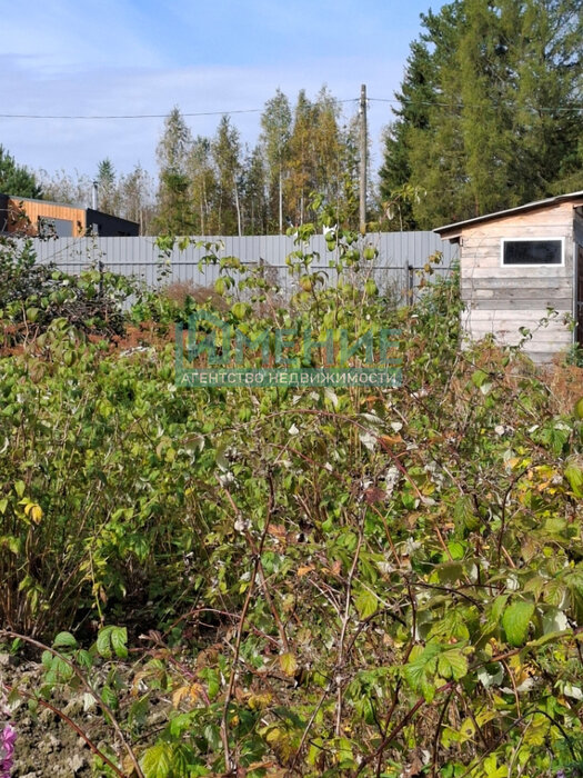 п. Гусевка, д. 14 (городской округ Ревда) - фото дачи (6)