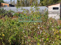 Продажа дачи: п. Гусевка, д. 14 (городской округ Ревда) - Фото 6