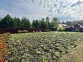 Продажа садового участка: Екатеринбург, СНТ Локомотив - Фото 6