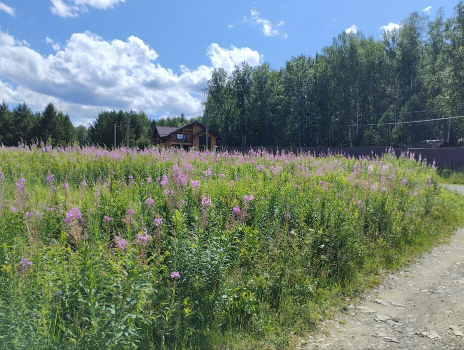 д. Гусева, ул. Окружная (городской округ Белоярский) - фото земельного участка (8)