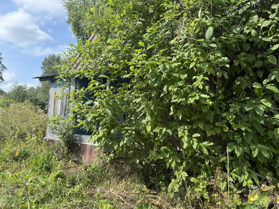 п. Бисерть, коллективный сад № 1, ул. Родниковая, 153 (Нижнесергинский район) - фото сада (3)