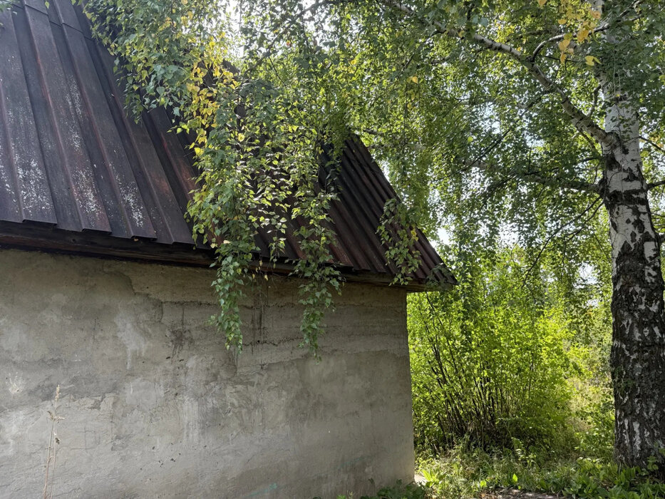 п. Бисерть, коллективный сад № 1, ул. Родниковая, 153 (Нижнесергинский район) - фото сада (7)