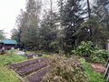 Продажа садового участка: п. Сагра, ССК Рассвет, уч. 25 (городской округ Верхняя Пышма) - Фото 7