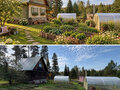 Продажа садового участка: п. Аять, СОНТ Уралпластик-9, уч. 6/15 (городской округ Невьянский) - Фото 2