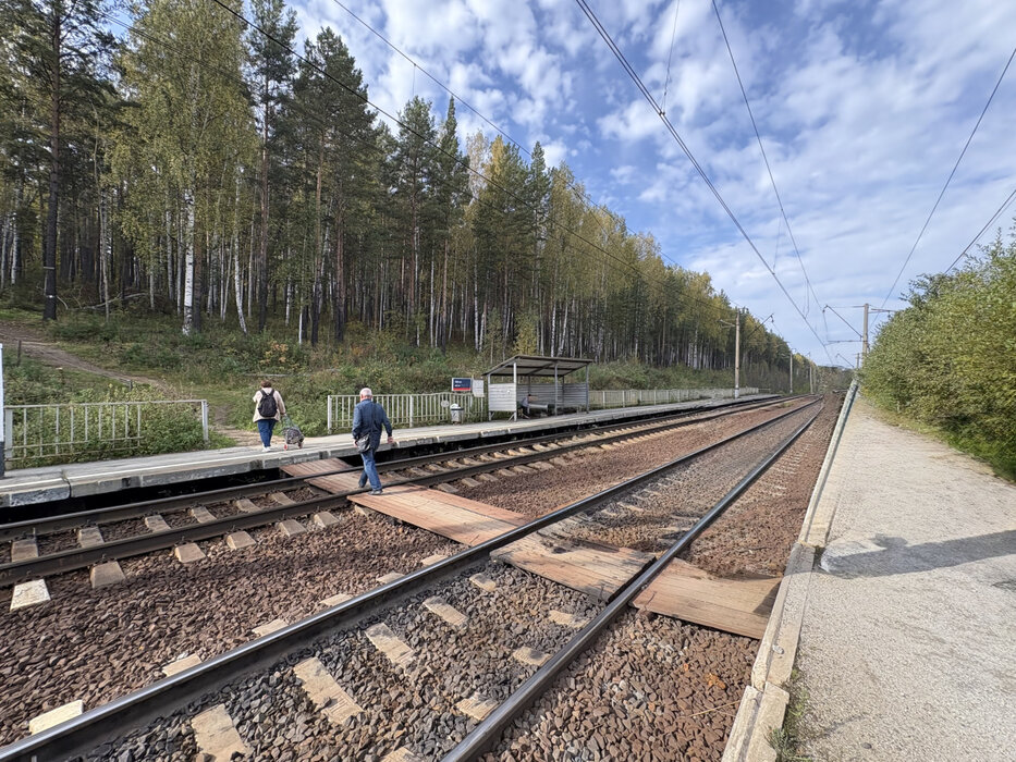 п. Аять, СОНТ Уралпластик-9, уч. 6/15 (городской округ Невьянский) - фото сада (3)