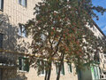 Продажа квартиры: Екатеринбург, ул. Гагарина, 5 (городской округ Березовский) - Фото 14