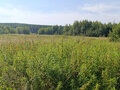 Продажа земельного участка: д. Ключи (г.о. Белоярский), ул. Советская, 12 (городской округ Белоярский) - Фото 8
