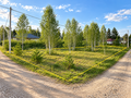 Продажа земельного участка: г. Березовский, ул. ПСК «Шиловский», участок №43 (городской округ Березовский) - Фото 1