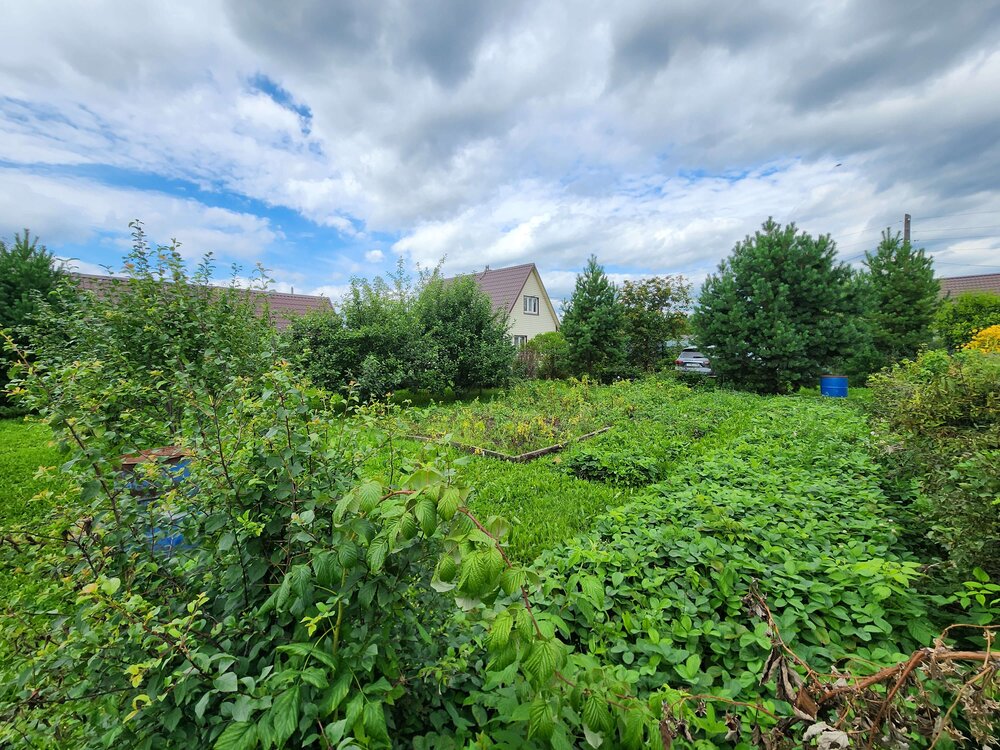 п. Рассоха, ул. СНТ Ветеран, 183 (городской округ Белоярский) - фото дома (6)