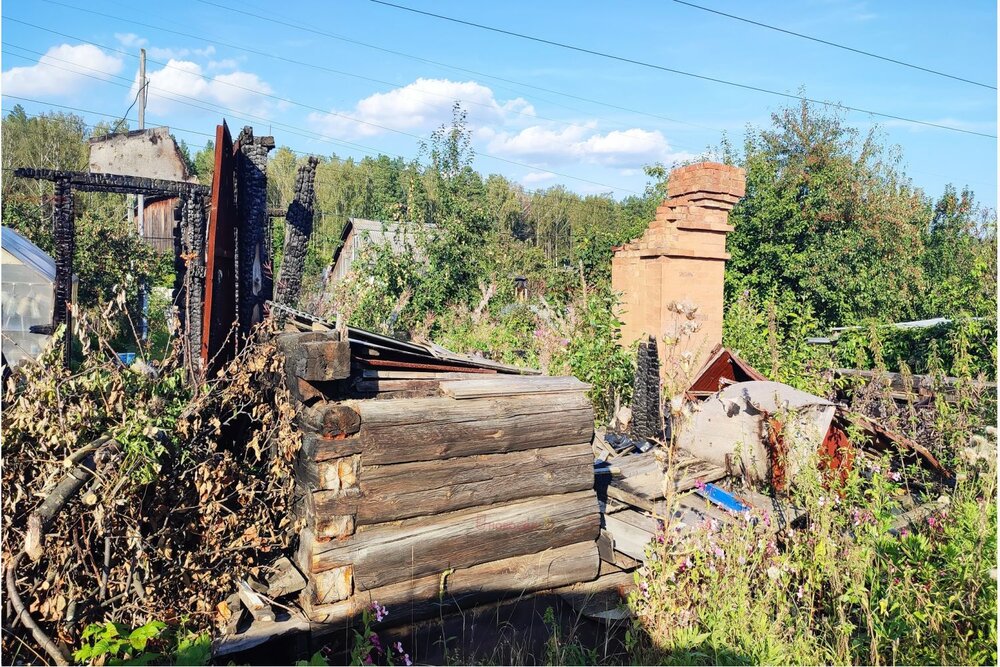 Екатеринбург, СНТ Жилищник-1 - фото сада (10)