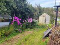 Продажа садового участка: Екатеринбург, СНТ Жилищник-1 - Фото 1