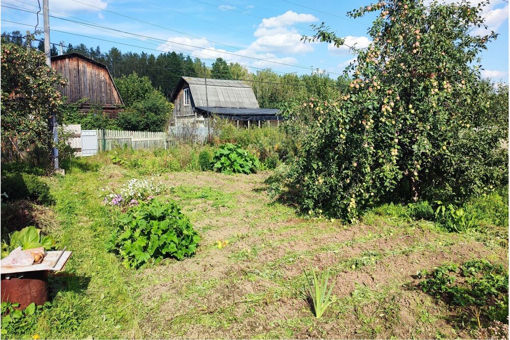 Екатеринбург, СНТ Жилищник-1 - фото сада (5)