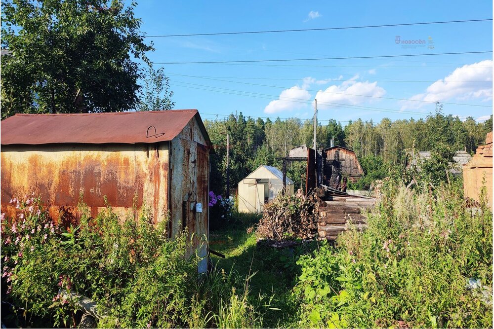 Екатеринбург, СНТ Жилищник-1 - фото сада (7)