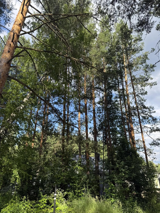 Екатеринбург, ул. Кордон Шиловский, 44 (Горный щит) - фото земельного участка (1)