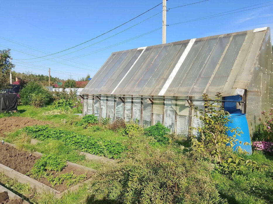 г. Верхняя Пышма, СНТ № 39, уч. 134 (городской округ Верхняя Пышма) - фото сада (7)
