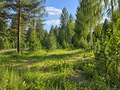 Продажа земельного участка: г. Арамиль, мкр-н Тёплое поле, ул. Малахитовая, 61 (городской округ Арамильский) - Фото 3