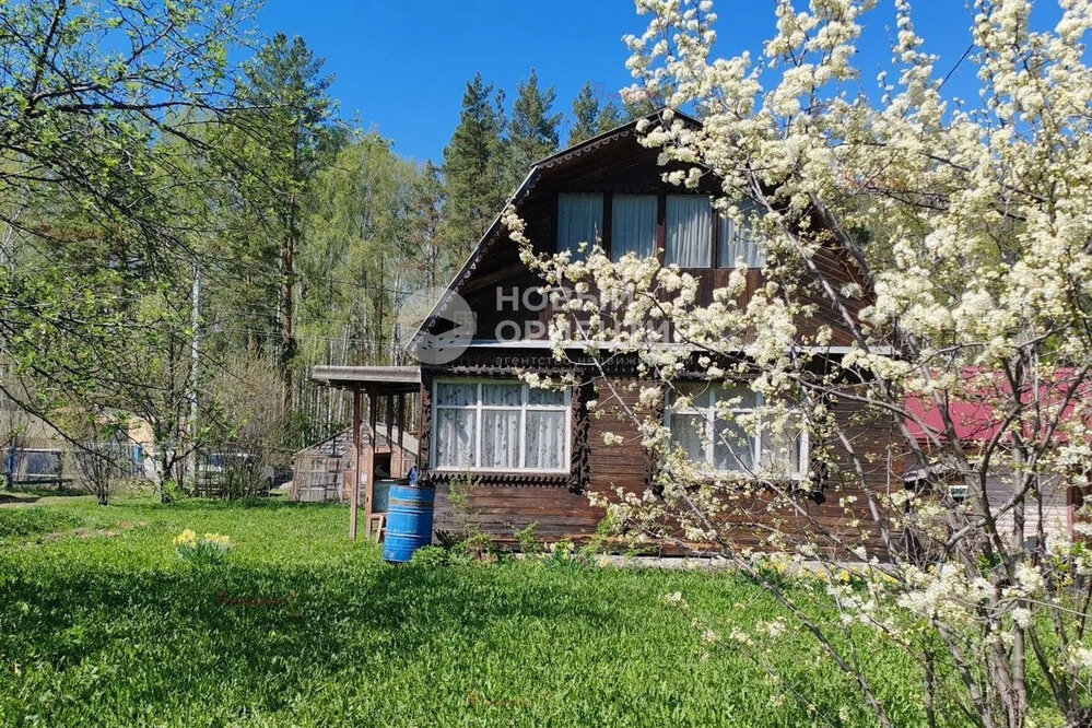 Екатеринбург, СНТ Мелиоратор, уч. 53 (Горный щит) - фото сада (1)