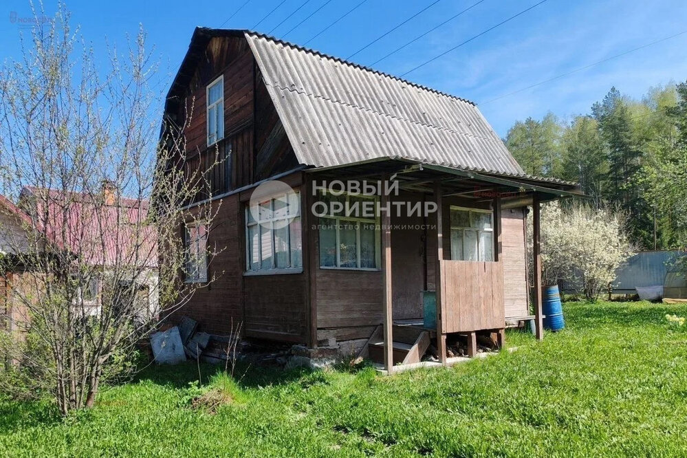 Екатеринбург, СНТ Мелиоратор, уч. 53 (Горный щит) - фото сада (2)