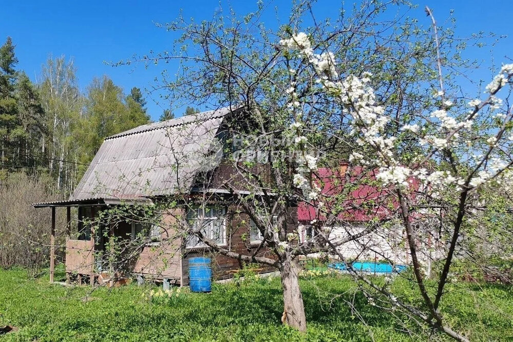Екатеринбург, СНТ Мелиоратор, уч. 53 (Горный щит) - фото сада (3)