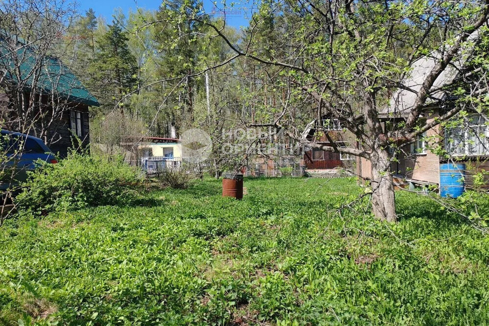 Екатеринбург, СНТ Мелиоратор, уч. 53 (Горный щит) - фото сада (5)