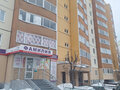Продажа квартиры: г. Арамиль, ул. 1 Мая, 69а (городской округ Арамильский) - Фото 14