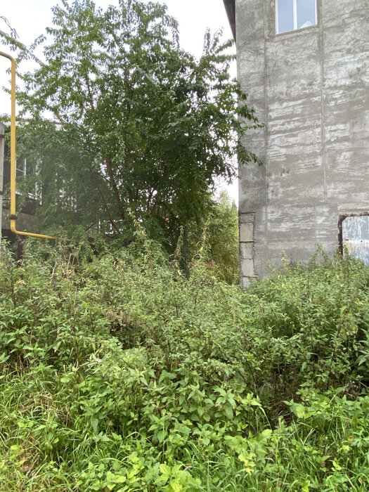 п. Таватуй, ул. Цветочная, 2 (городской округ Невьянский) - фото дома (5)