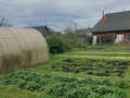 Продажа садового участка: г. Заречный, СНТ Кировский, уч. 362 (городской округ Заречный) - Фото 10