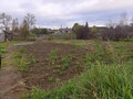 Продажа дома: п. Нейво-Рудянка, ул. Береговая, 18 (городской округ Кировградский) - Фото 8