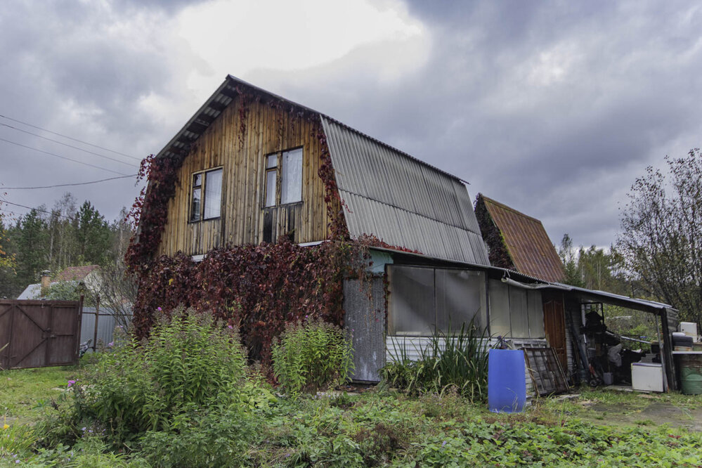 Екатеринбург, СНТ Полесье - фото сада (1)