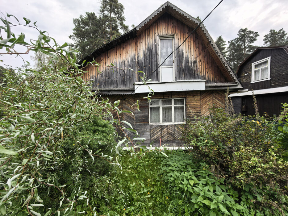 Екатеринбург, к/с Луч-1, уч. 3 - фото сада (3)