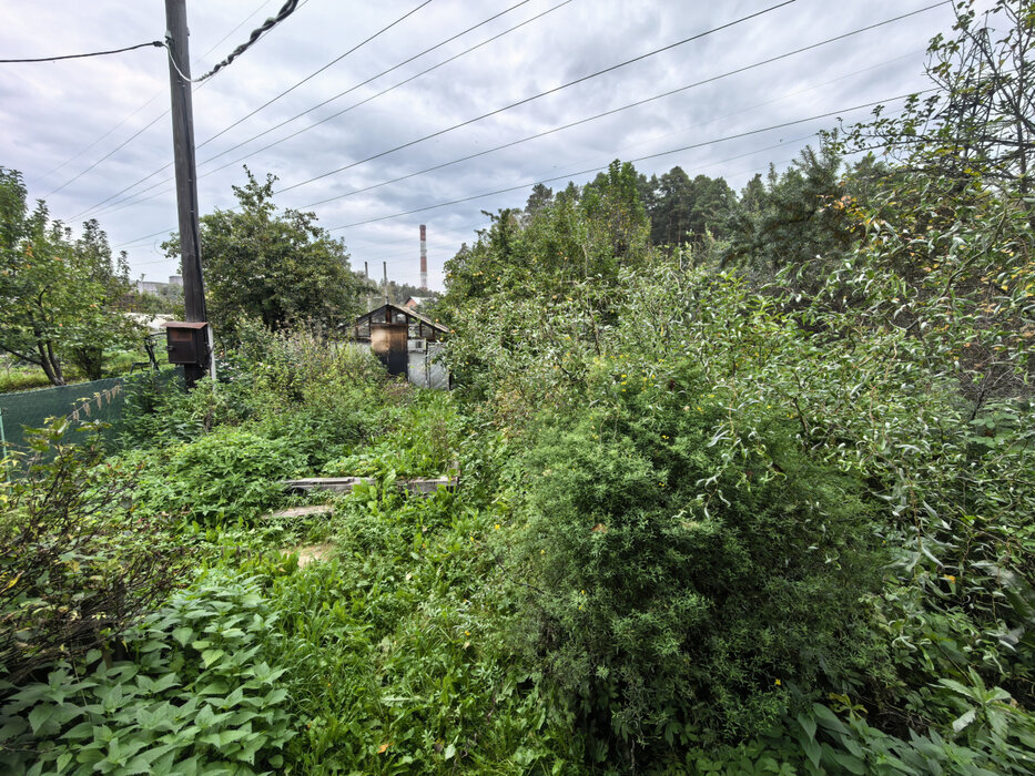 Екатеринбург, к/с Луч-1, уч. 3 - фото сада (5)