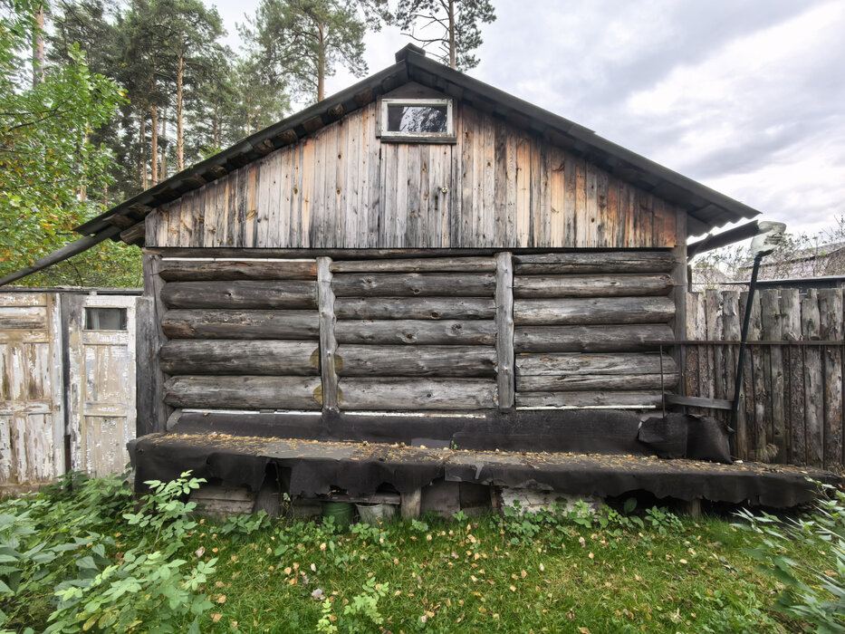 Екатеринбург, к/с Луч-1, уч. 3 - фото сада (7)