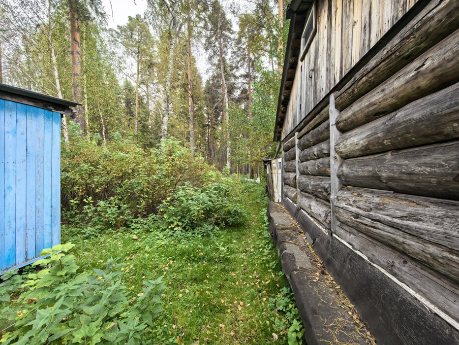Екатеринбург, к/с Луч-1, уч. 3 - фото сада (8)