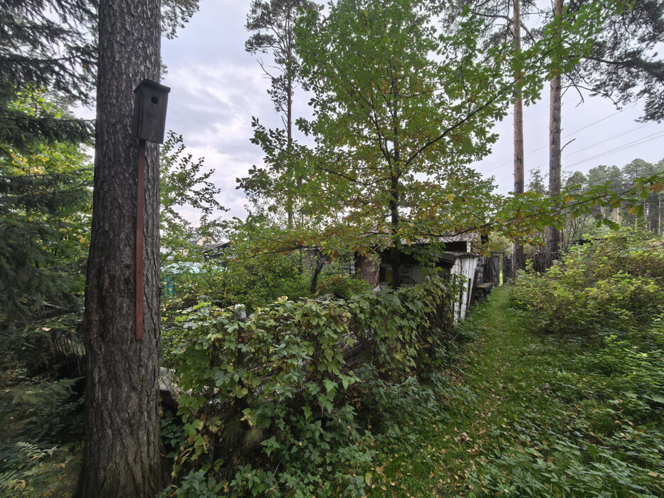 Екатеринбург, к/с Луч-1, уч. 3 - фото сада (9)
