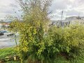 Продажа квартиры: г. Первоуральск, ул. 1 Мая, 1 (городской округ Первоуральск) - Фото 5