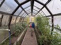 Продажа садового участка: Екатеринбург, к/с Дружба-1 - Фото 9