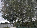 Продажа дома: г. Среднеуральск, ул. Восточная, 16 (городской округ Среднеуральск) - Фото 4