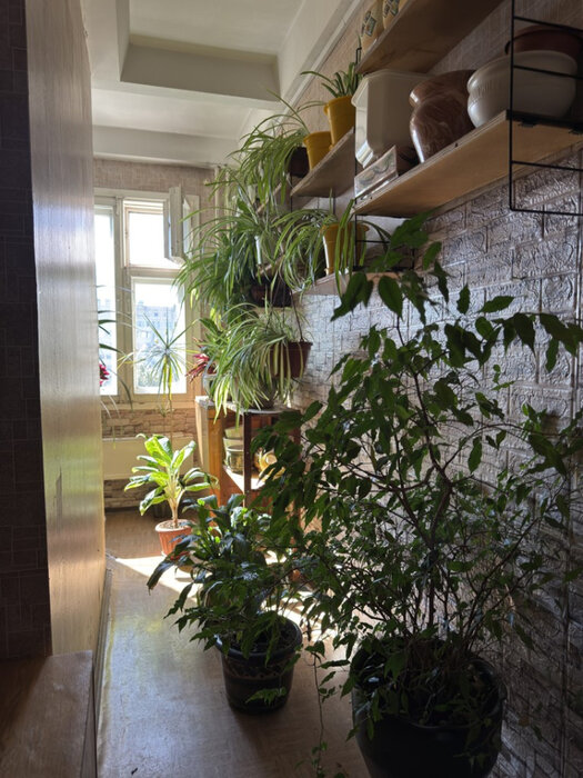Екатеринбург, ул. Фонвизина, 9 (Втузгородок) - фото квартиры (11)