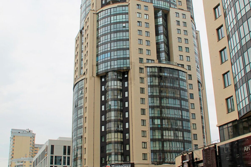 Екатеринбург, ул. Шейнкмана, 121 (Центр) - фото торгового помещения (1)