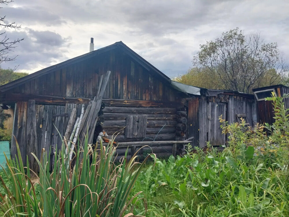 п. Кедровое, к/с Приозерный, уч. 6 (городской округ Верхняя Пышма) - фото сада (8)
