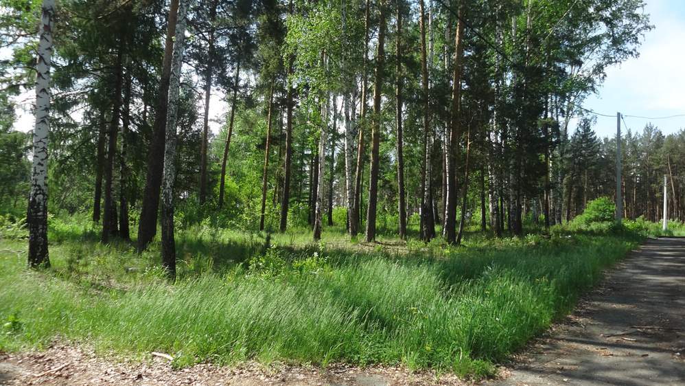 Коттеджный поселок Загородный спортивно-оздоровительный Клуб "Ривер-Парк" - фото 6
