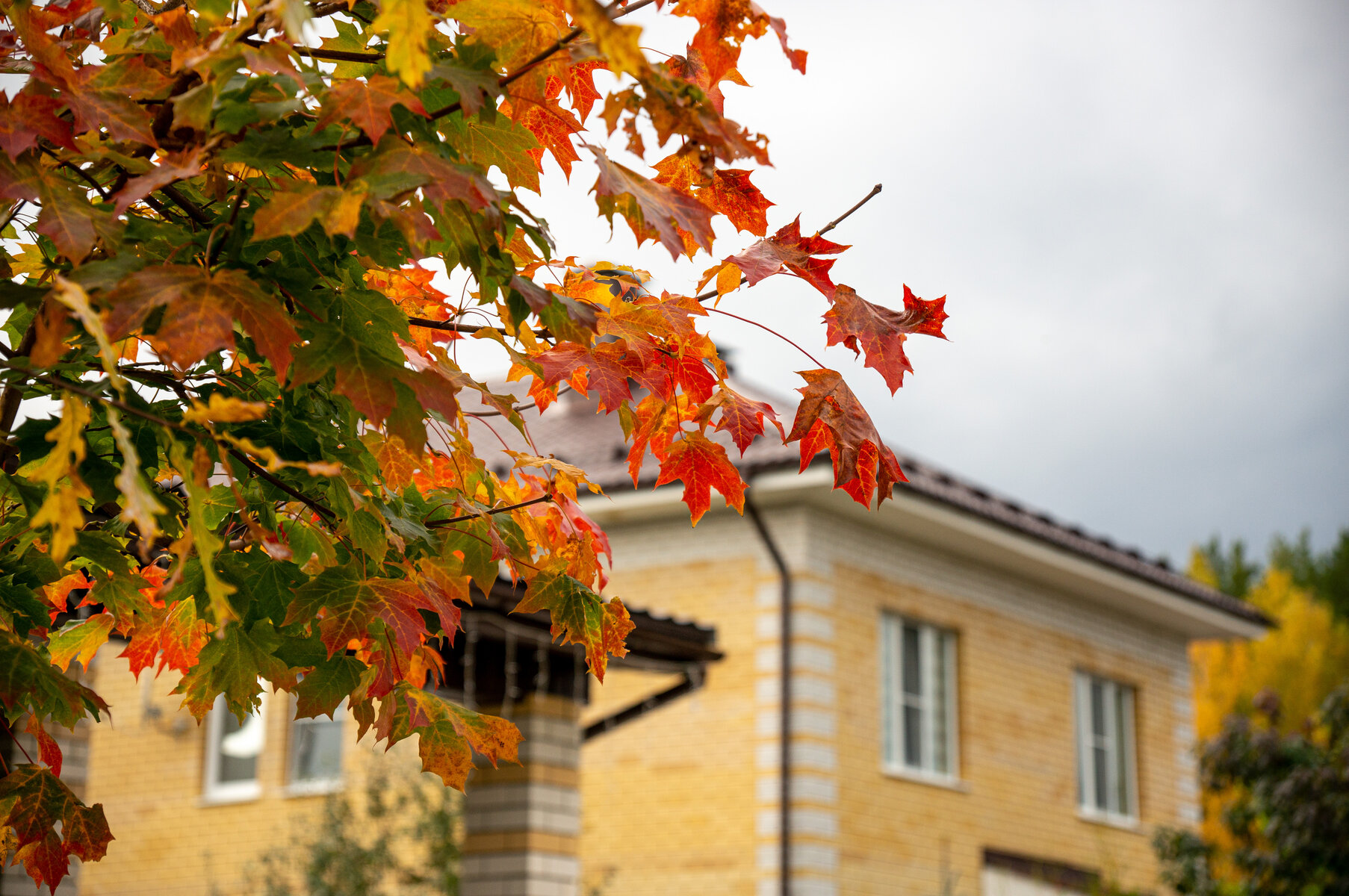 Коттеджный поселок Завидово - фото 8